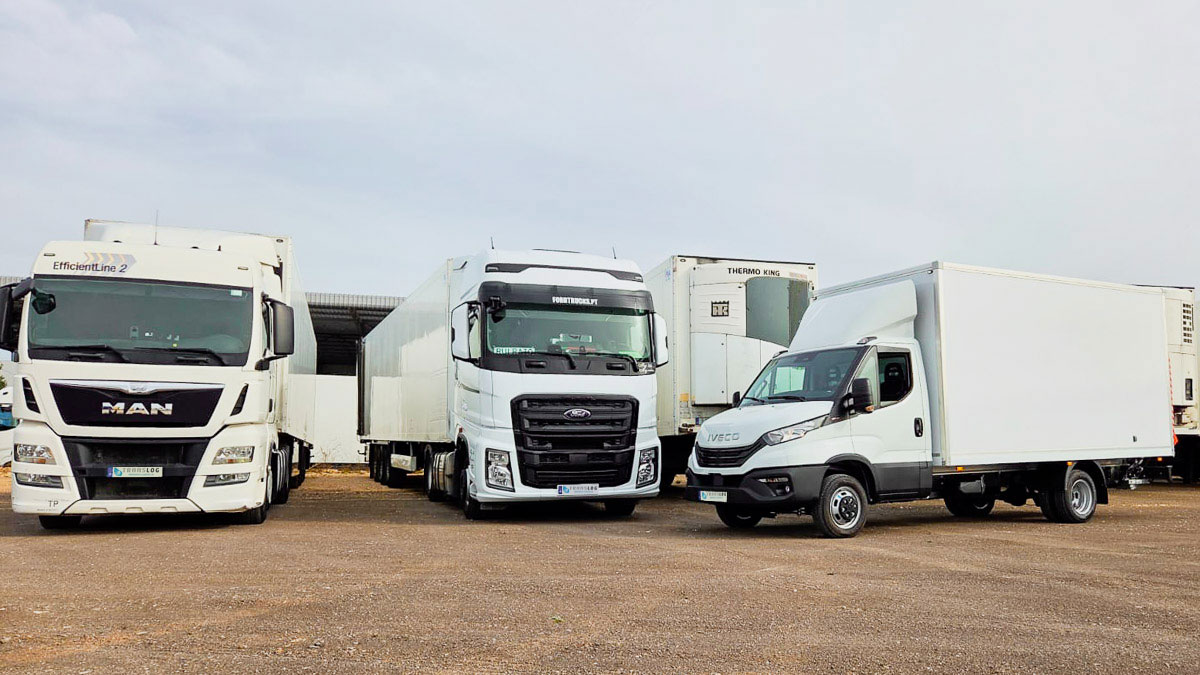 Translog-transporte